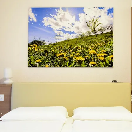 Ceresio Hotell 3*